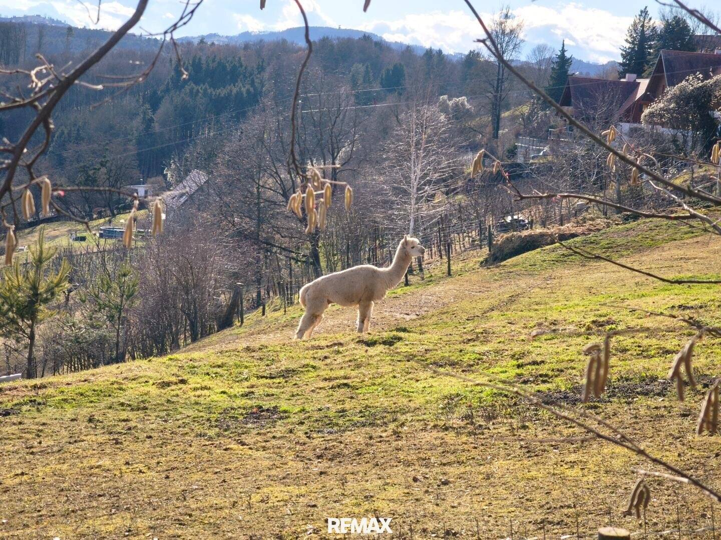 Einfamilienhaus mit Panoramablick in Langaberg