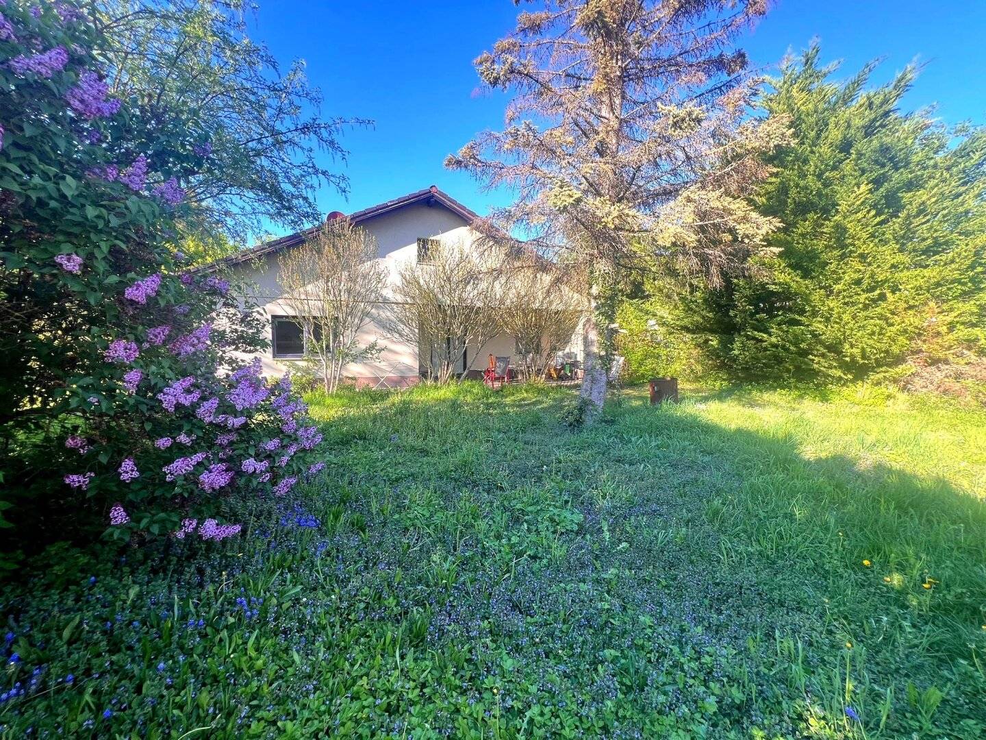 Spacious building plot with development potential