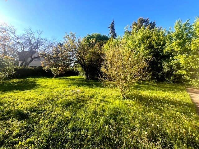 Spacious building plot with development potential