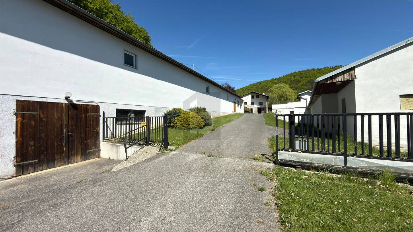 Einzellage mit Panorama und weitläufigem Grundstück Familienwohnung
