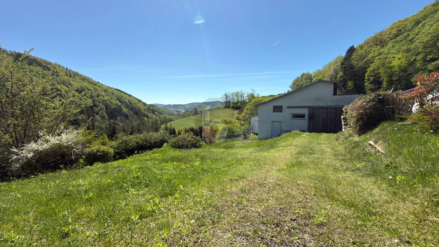Einzellage mit Panorama und weitläufigem Grundstück Familienwohnung