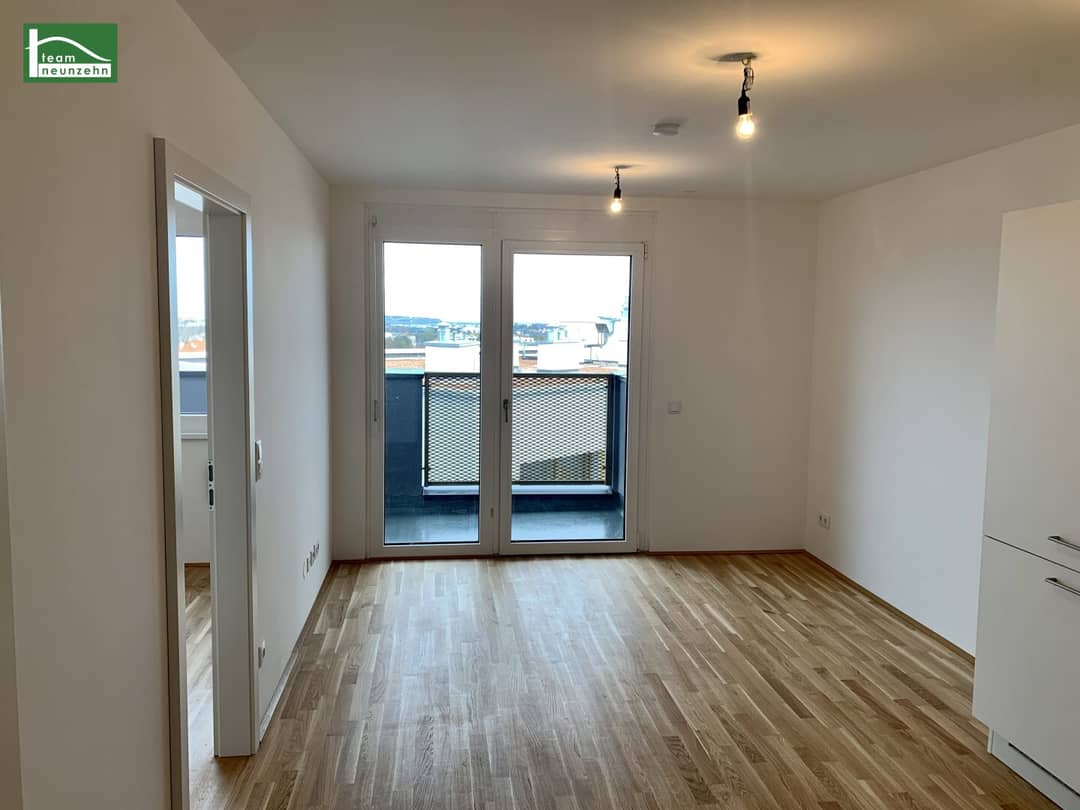 Bright 2-Room Apartment with Balcony and Distant View