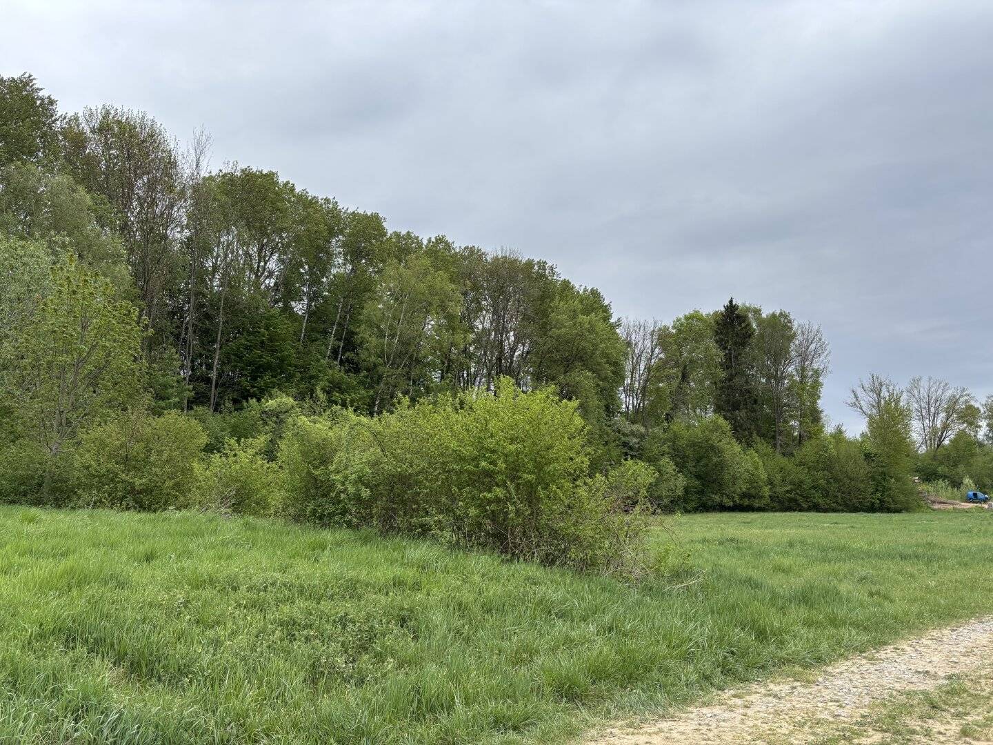 Wiesen-Wald-Grundstück Wiesfleck
