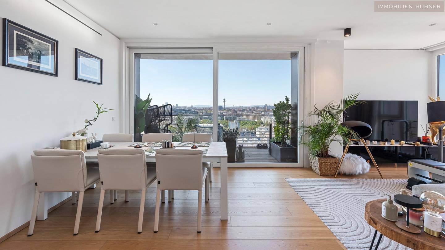 Wohnung mit Panoramablick über Wien und Terrasse
