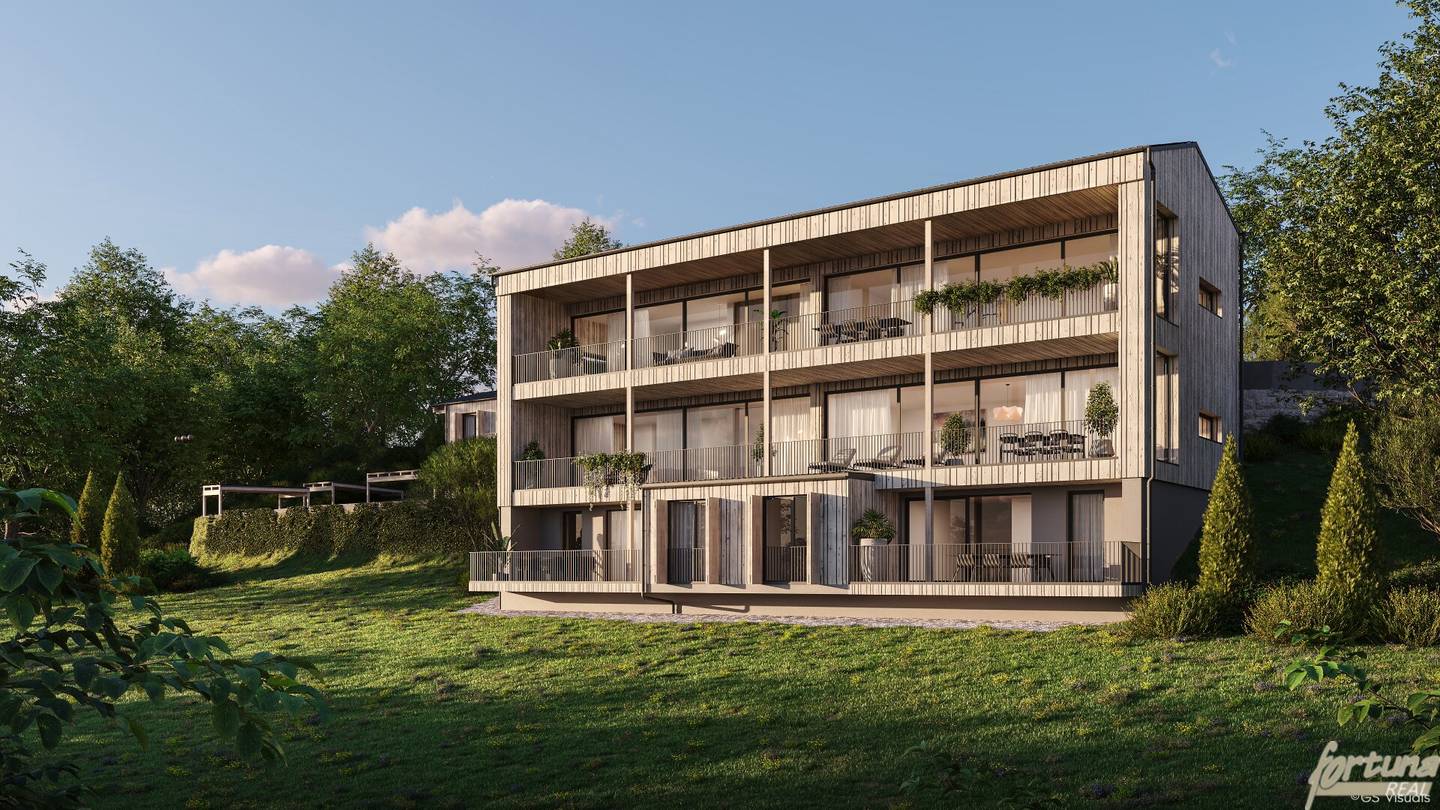 Apartment with terrace and lake view