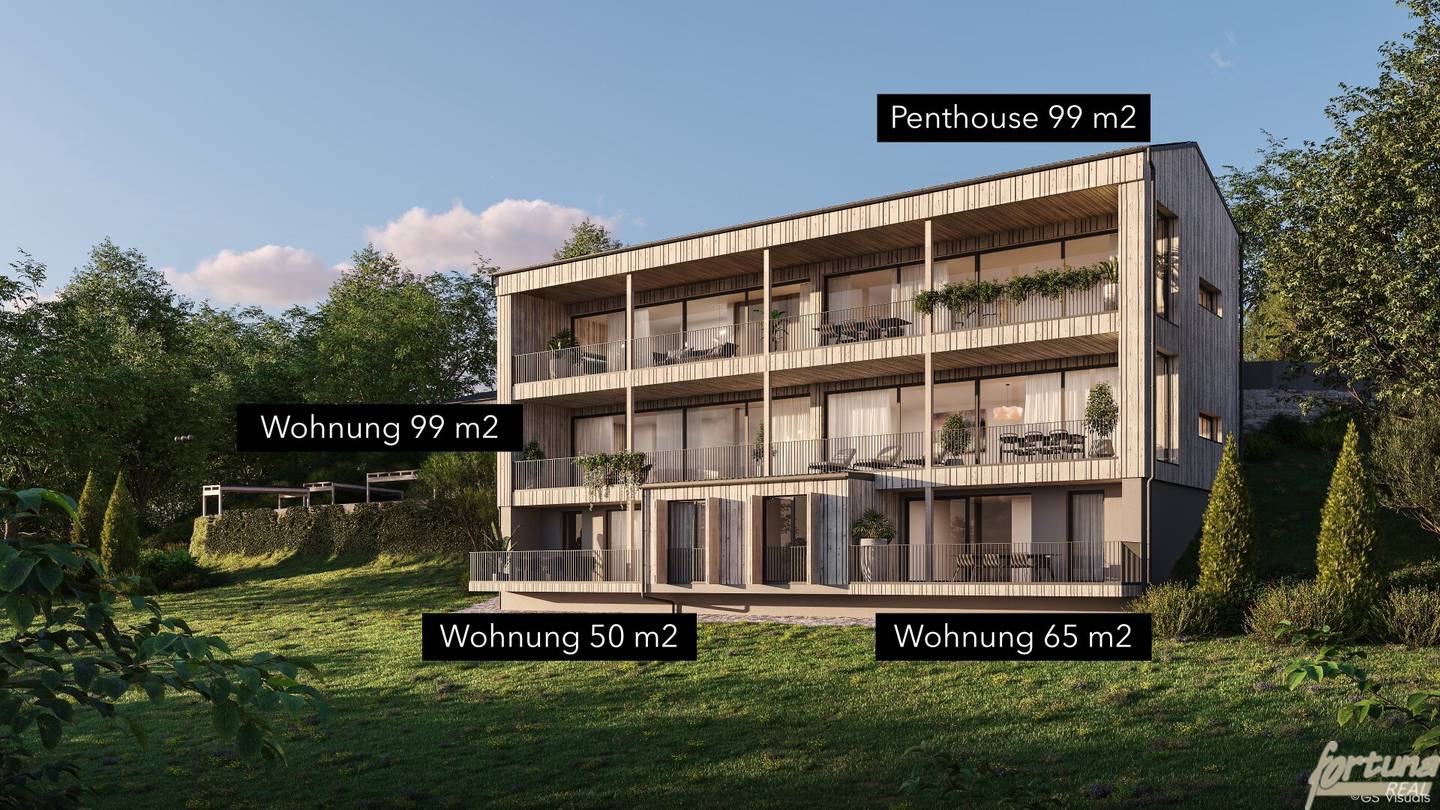 Apartment with terrace and lake view
