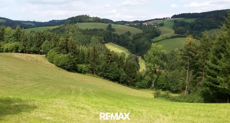 418,750 m² forests, farmland and green land in the Bucklige Welt Your investment in land