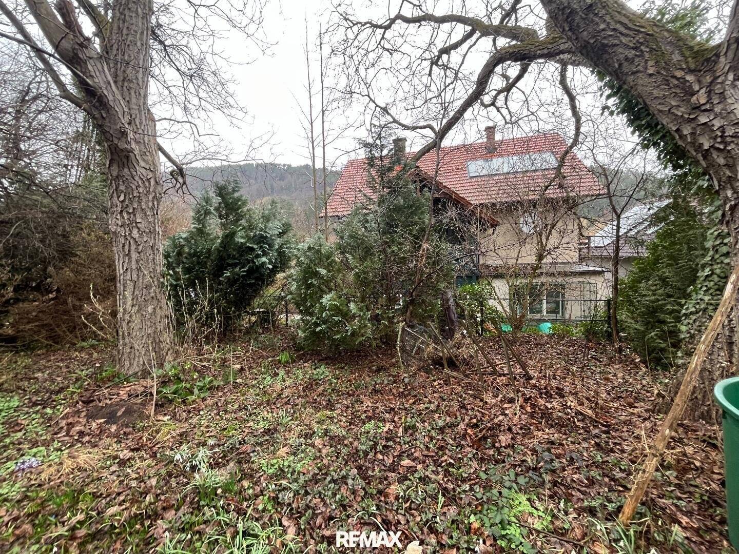 Sanierungsbedürftiges Haus auf großem Grundstück! Erwecken Sie es aus dem Dornröschenschlaf!