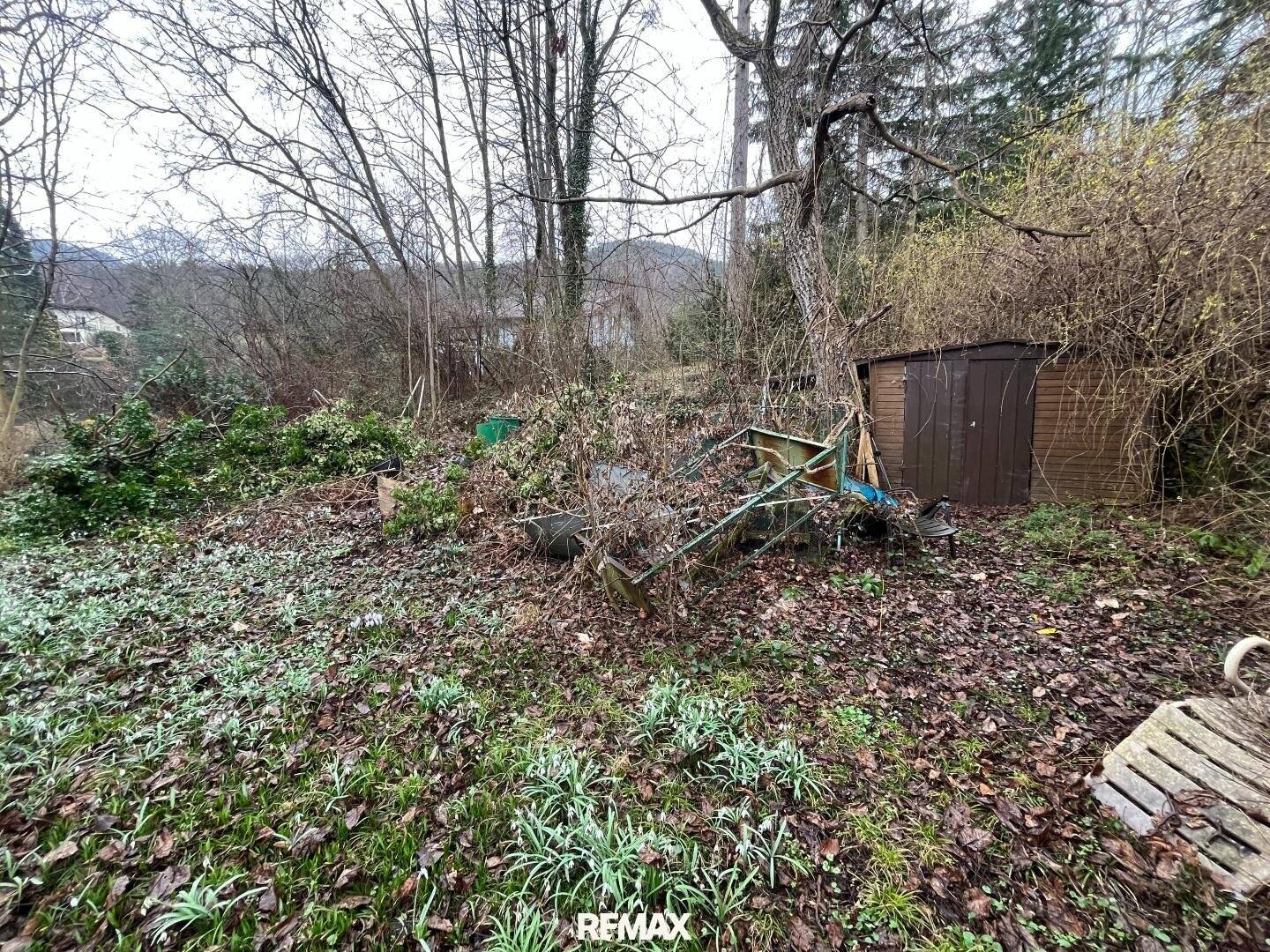 Sanierungsbedürftiges Haus auf großem Grundstück! Erwecken Sie es aus dem Dornröschenschlaf!
