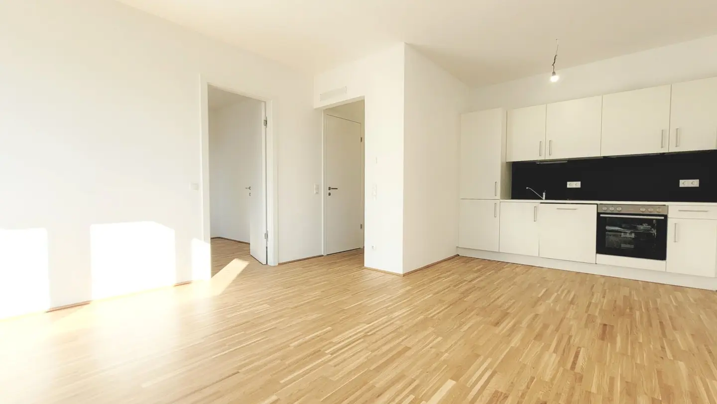 Investment apartment near TU Inffeld in Graz with west terrace