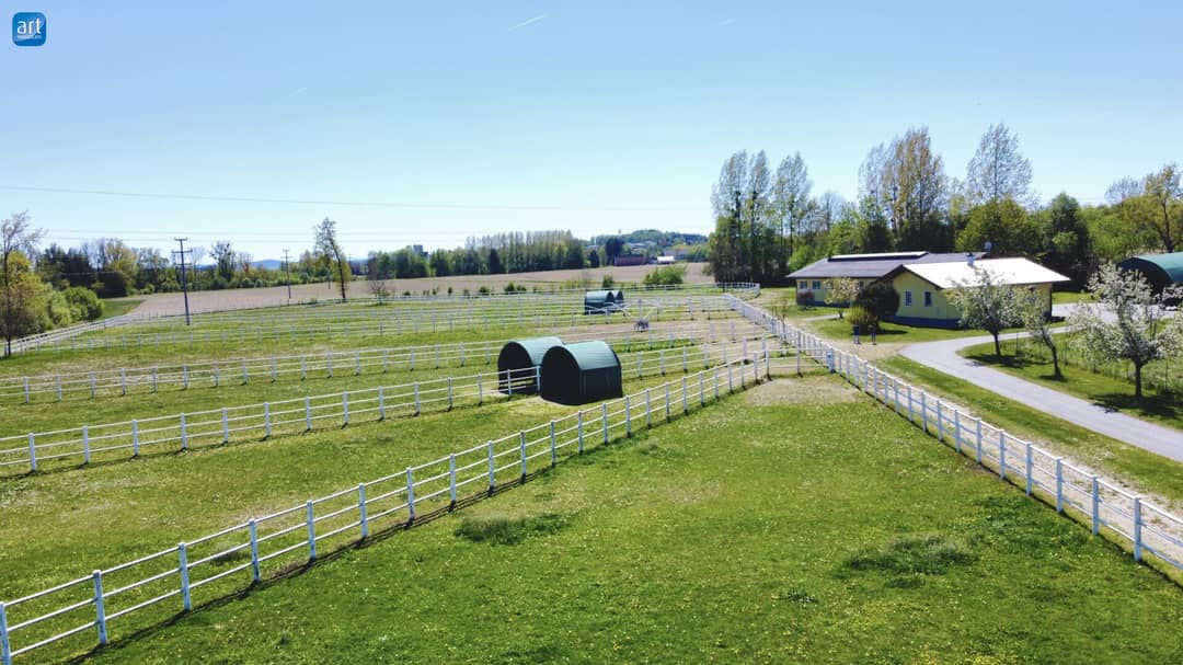 Neuwertiges Pferdegestüt mit Wohnhaus und Trainingsbahn