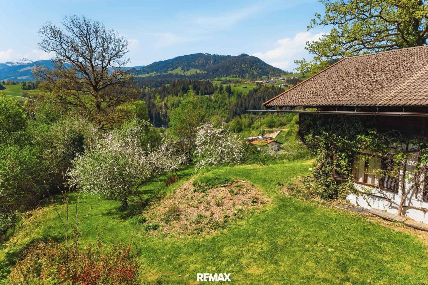 Panoramic plot in Hopfgarten
