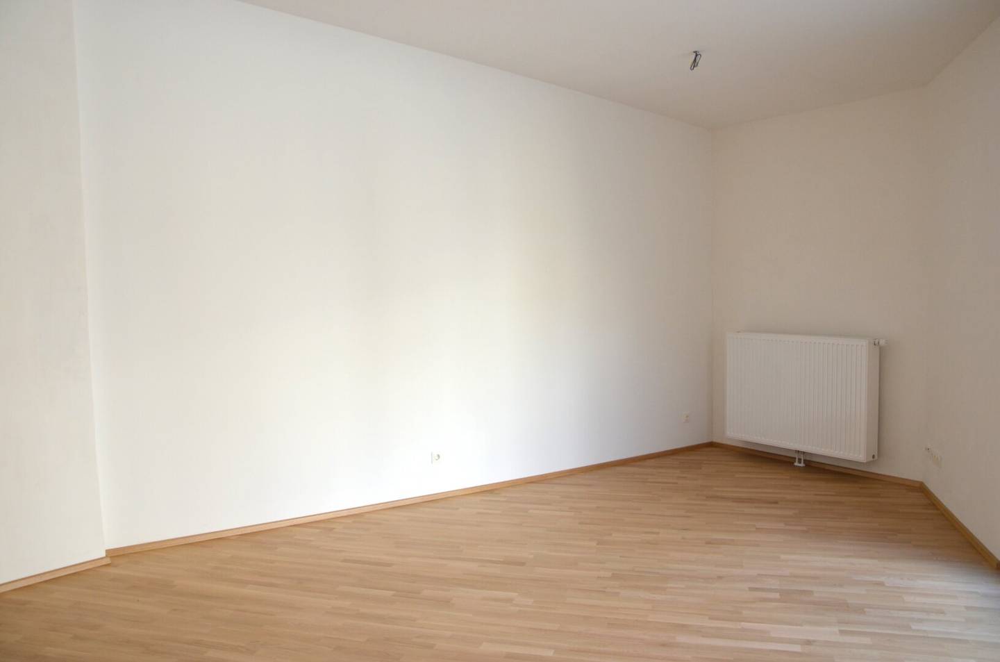 Ground floor apartment in a listed building
