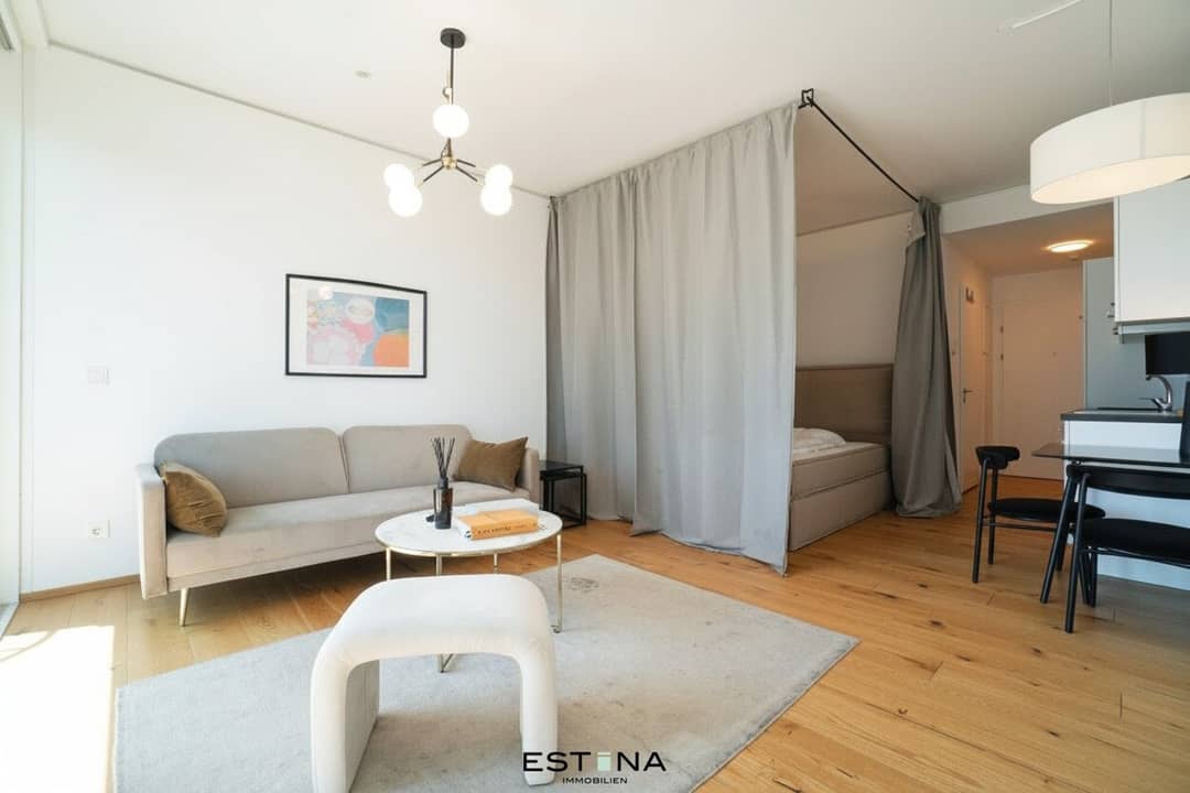 Furnished apartment in the TrIIIple Tower with rooftop terrace