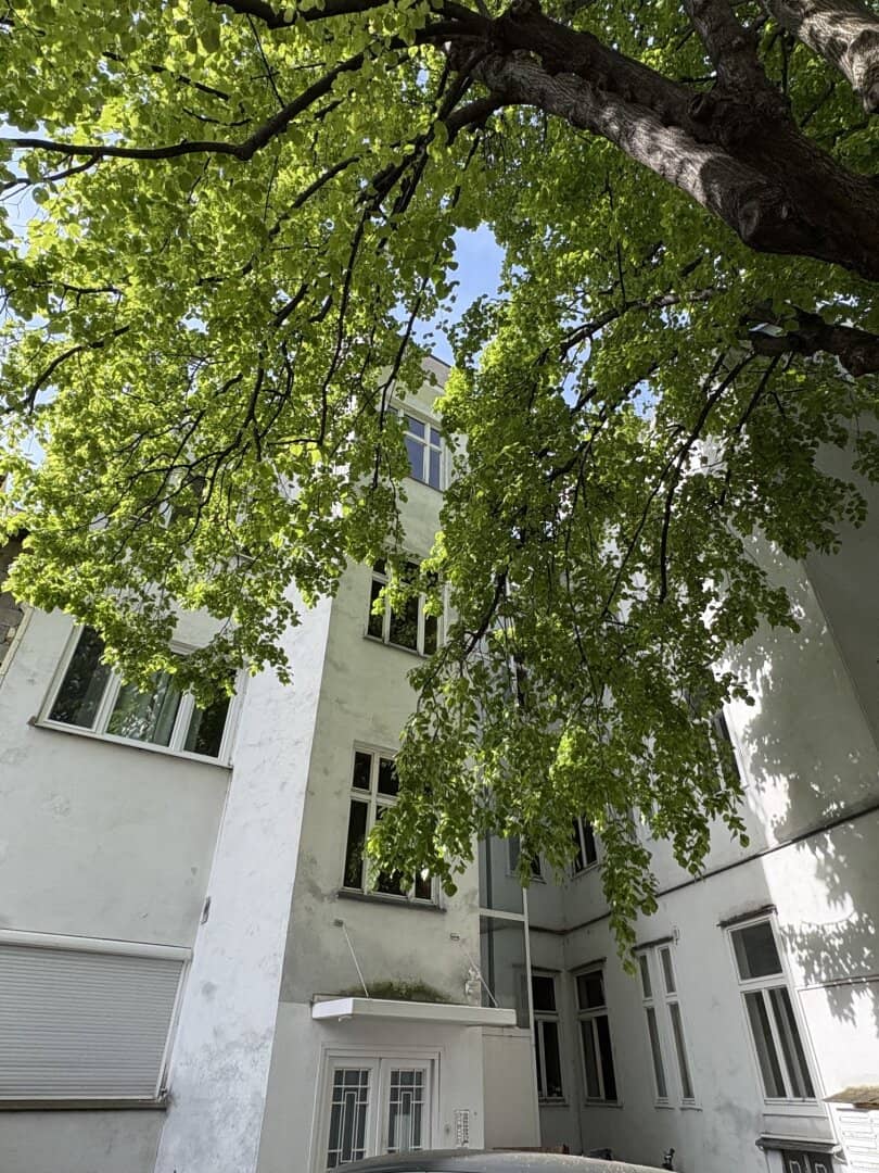 Sanierte 3-Zimmer-Altbauwohnung im 18. Bezirk