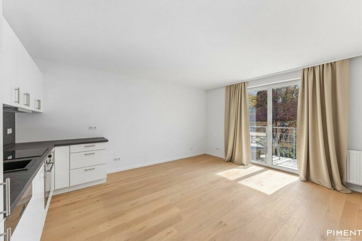 Apartment with Southwest Balcony near Türkenschanzpark