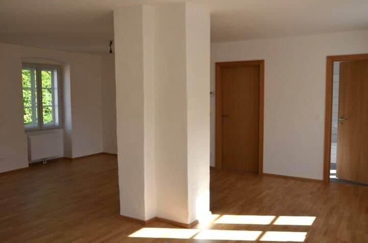 Apartment rented until 2029 near the Danube