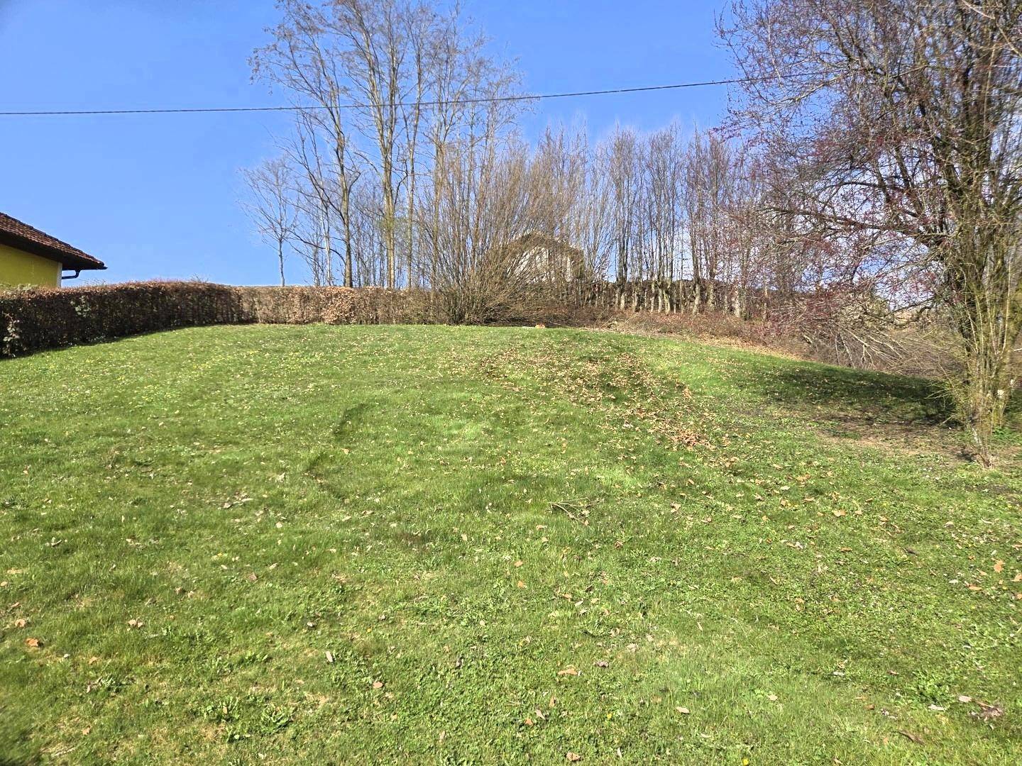Wohnbaugrund 954 m² Sierning