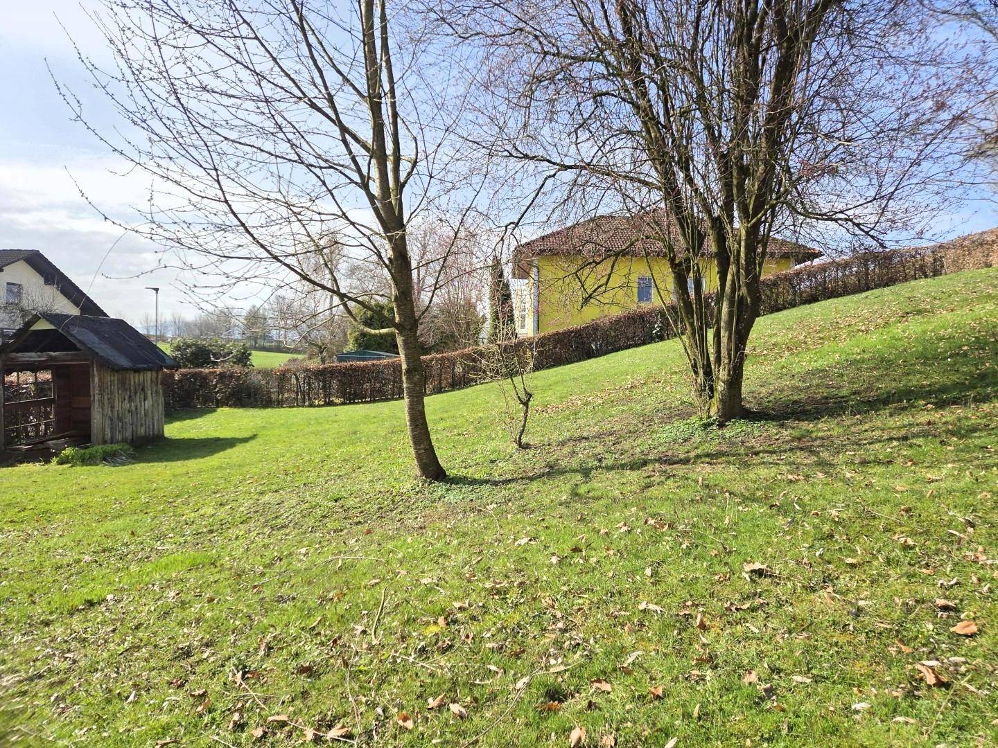 Wohnbaugrund 954 m² Sierning