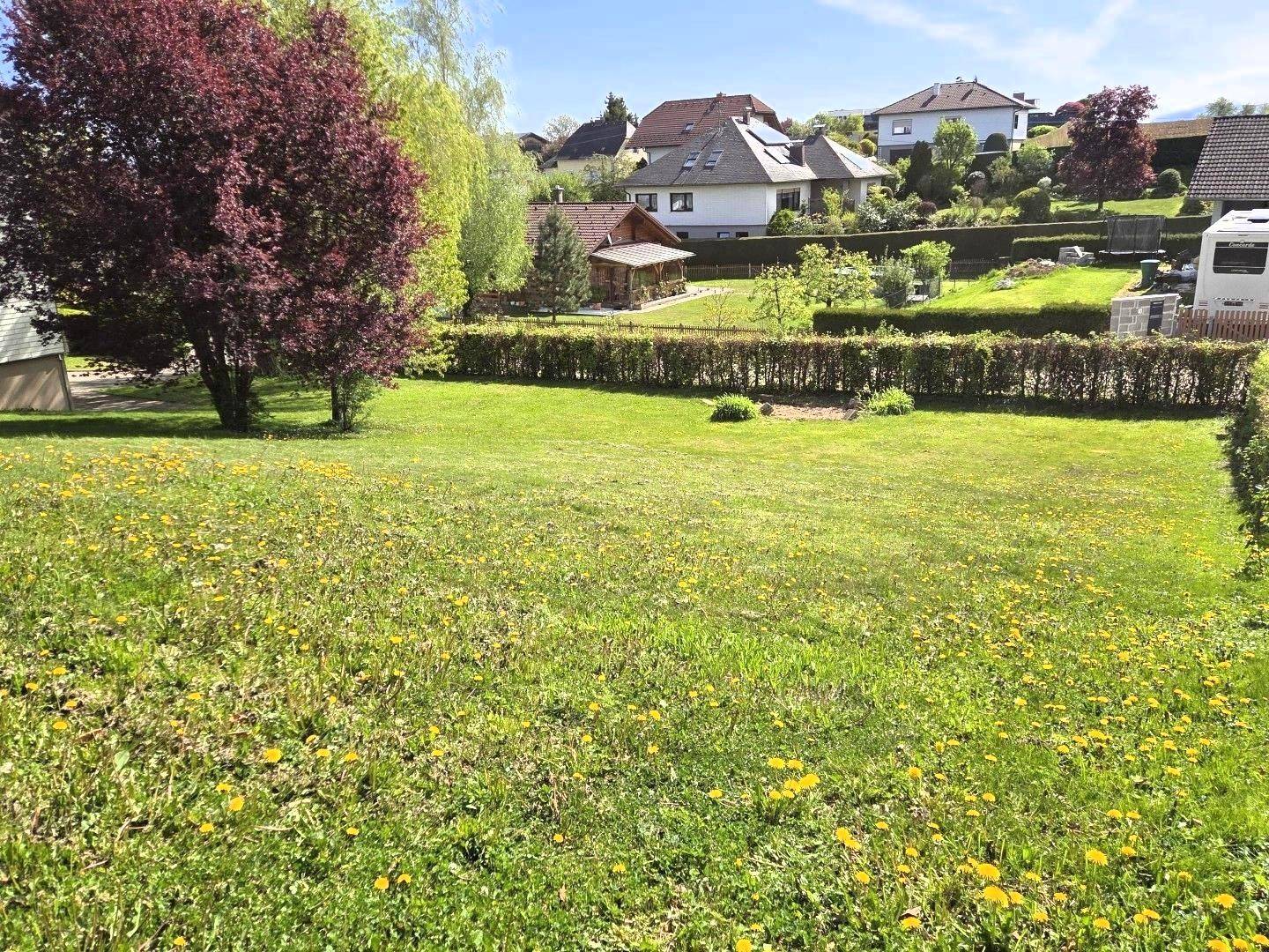 Wohnbaugrund 954 m² Sierning