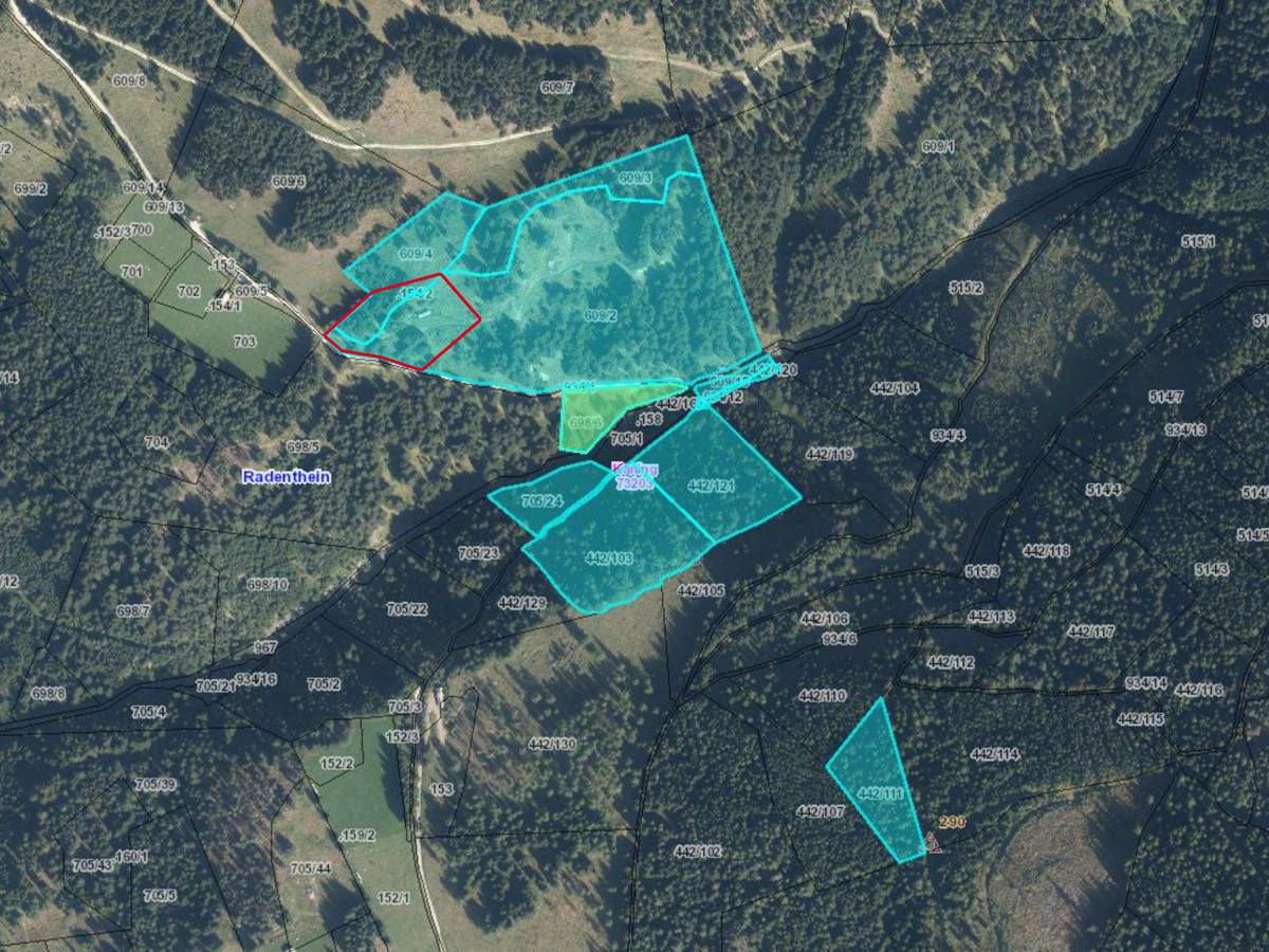 90.000 m² Waldfläche in Kaning