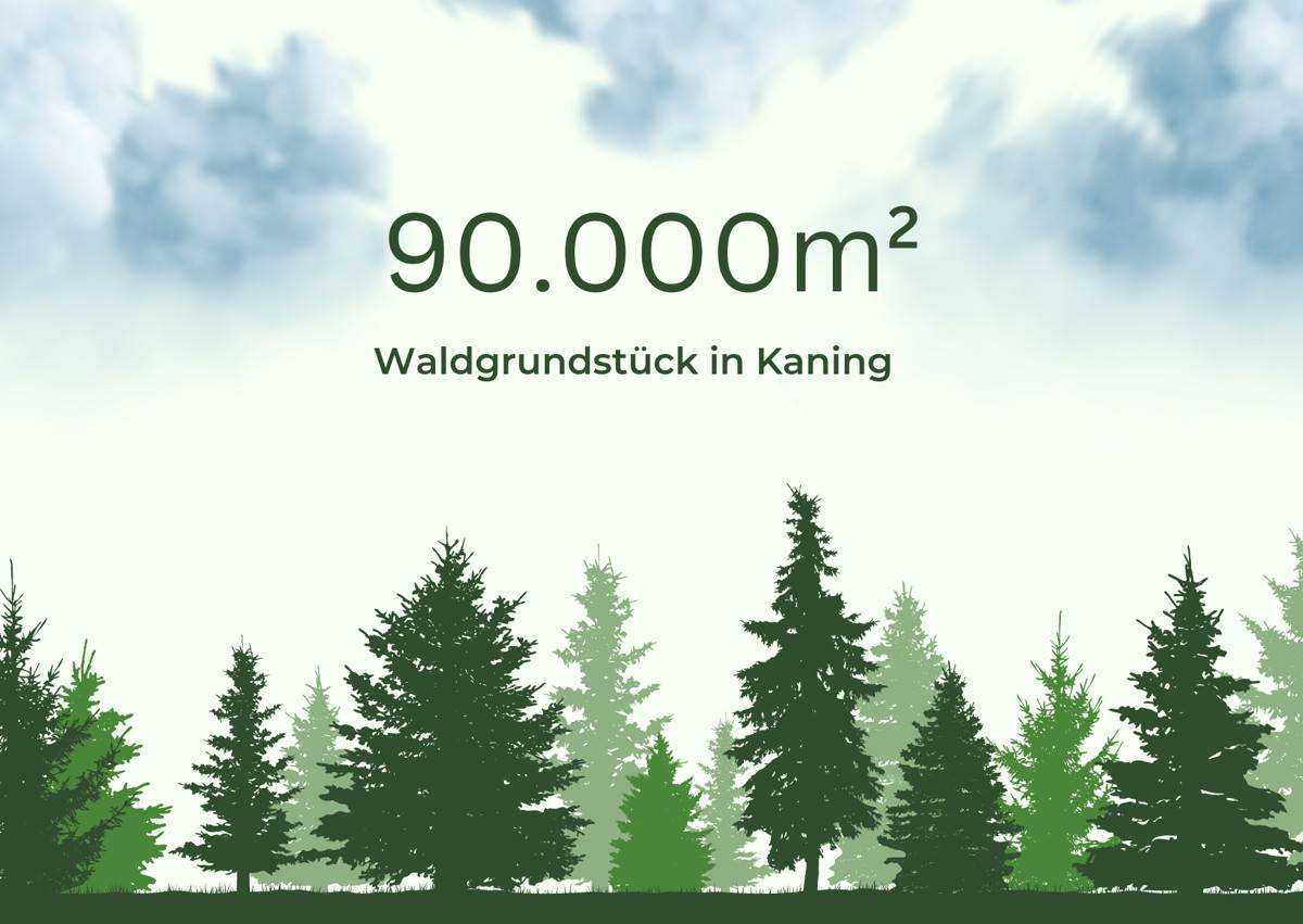 90.000 m² Waldfläche in Kaning