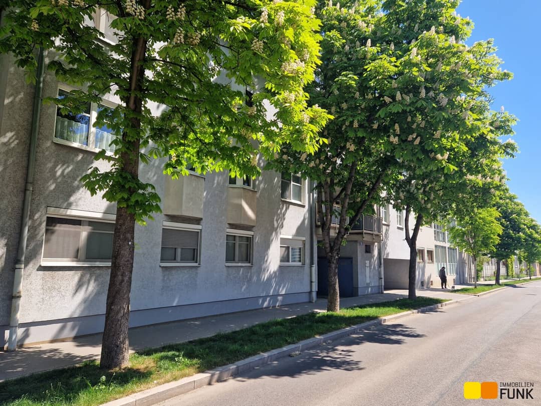 Immobilienbild 2