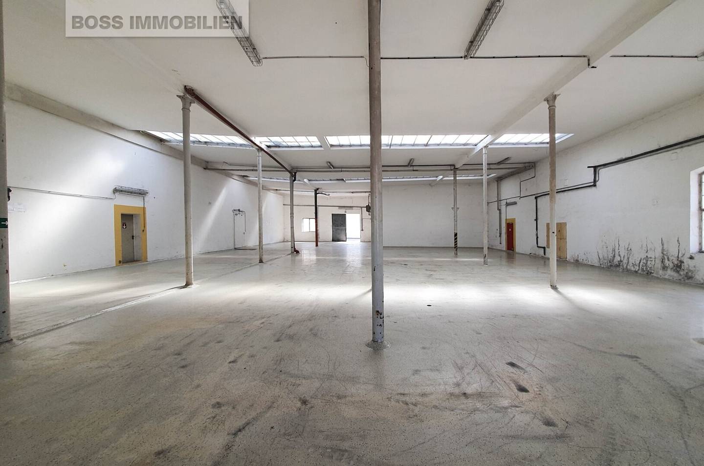 Affordable warehouse in Traun | Immediate occupancy for up to 6 months