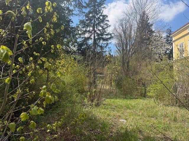 Development Plot in Hietzing