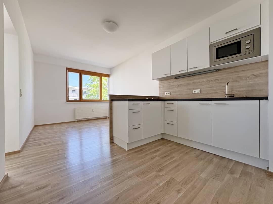 2-Room Apartment in Wels-Neustadt