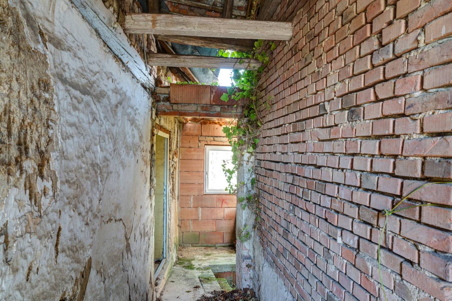 Renovation-needed house Haugsdorf