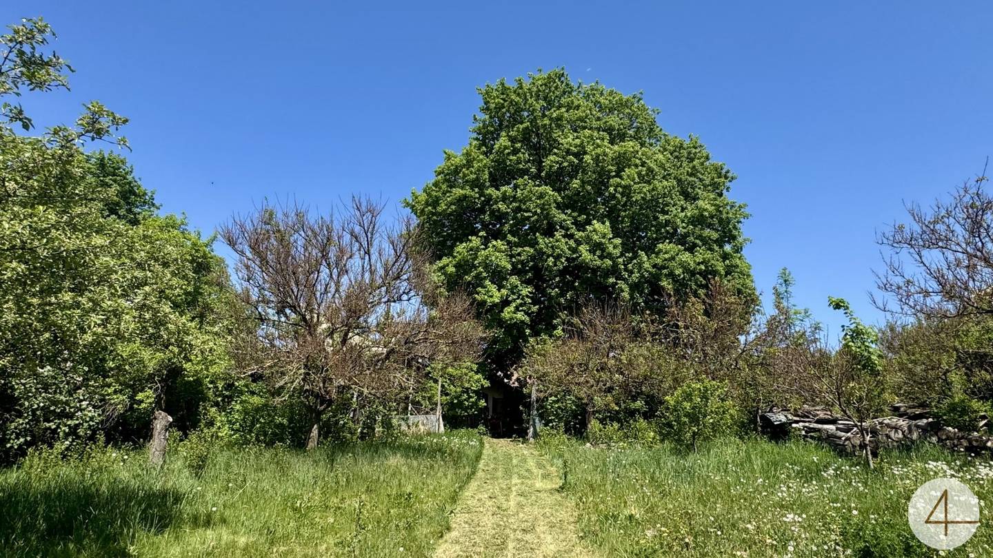 Large plot with house in Großweikersdorf