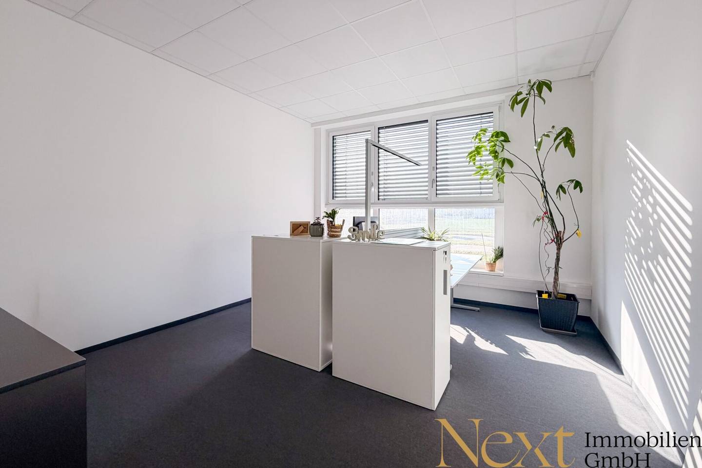 Spacious Office Space 465m² Leonding