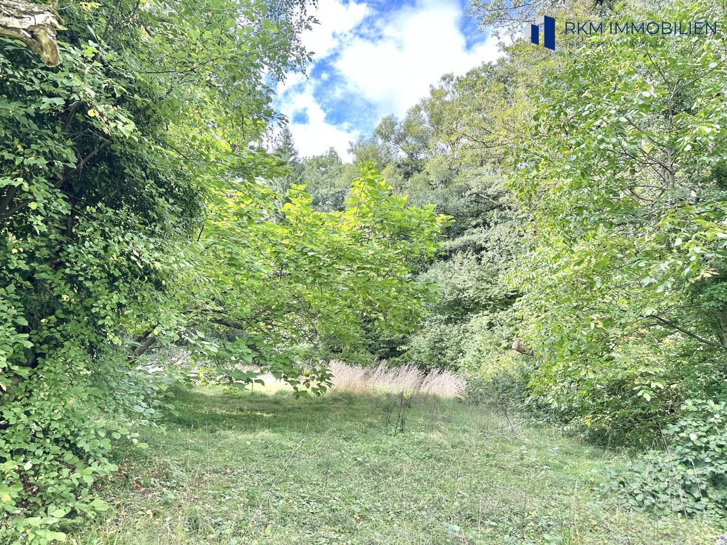 Exklusives Grundstück in Tullnerbach-Lawies