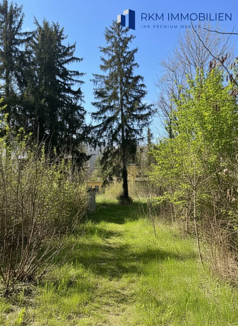 Immobilienbild 4