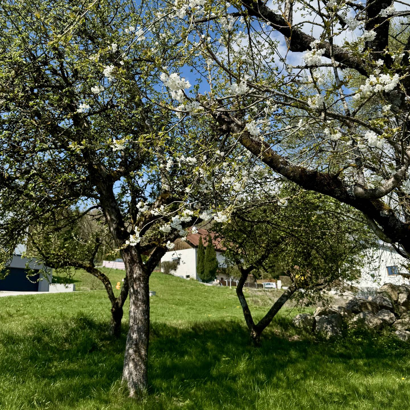 Baugrundstück 942m² Altenberg