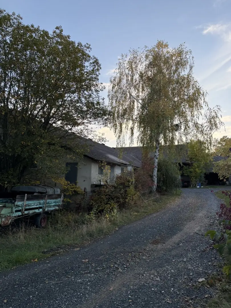 Pferdehof mit 21 ha in Oberwart