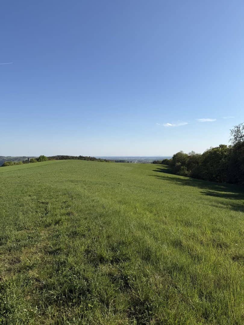 Pferdehof mit 21 ha in Oberwart
