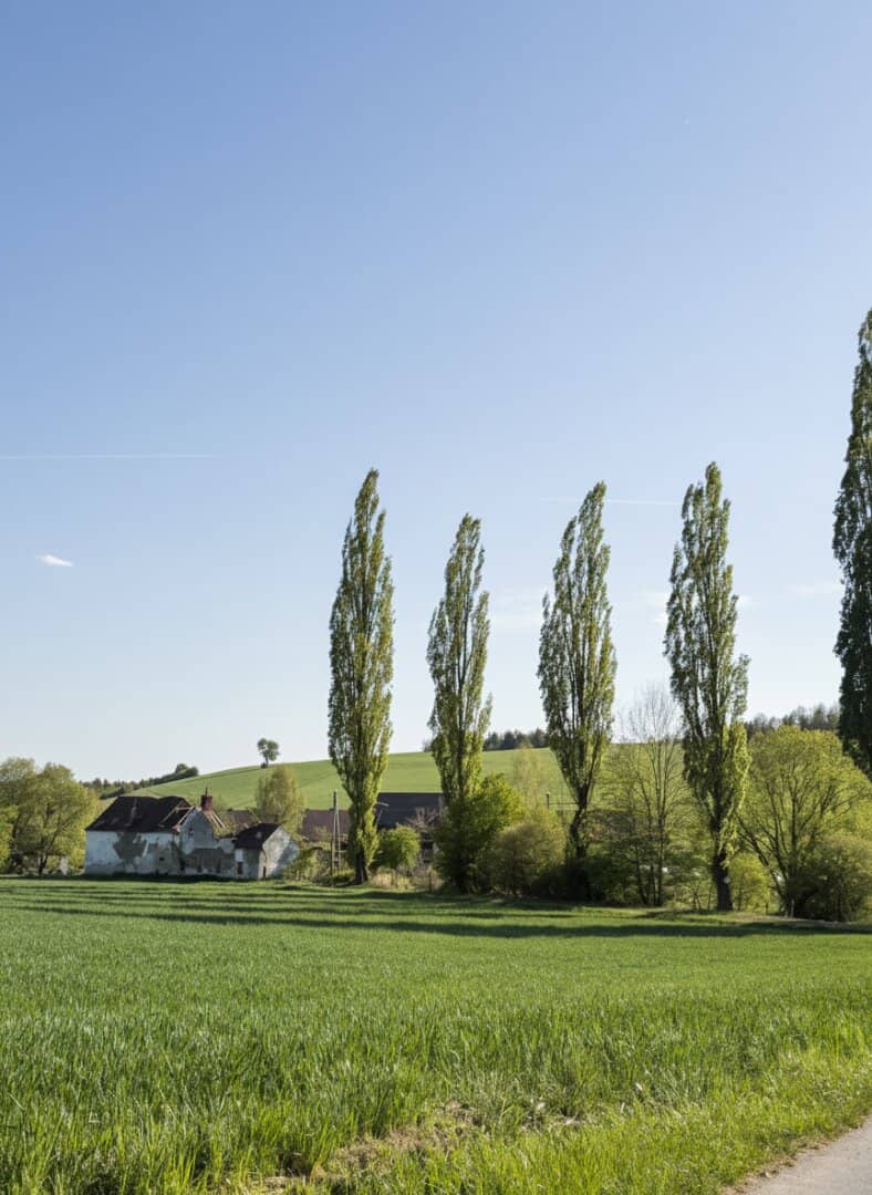Pferdehof mit 21 ha in Oberwart