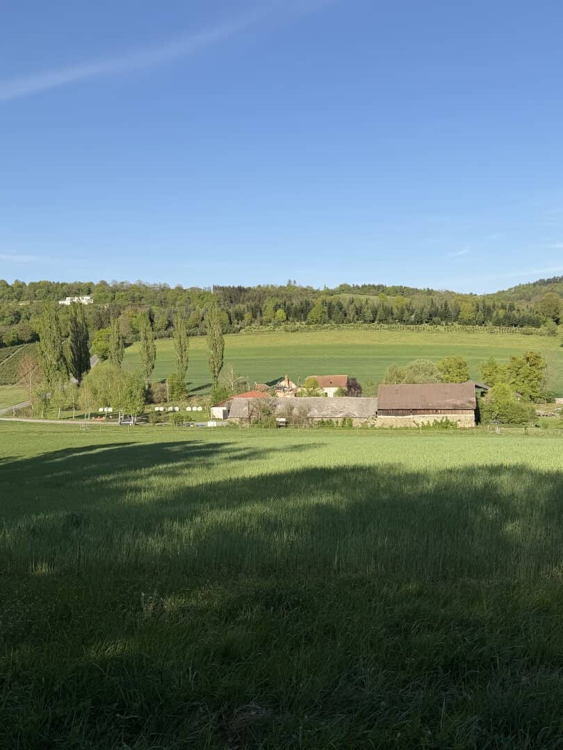 Pferdehof mit 21 ha in Oberwart