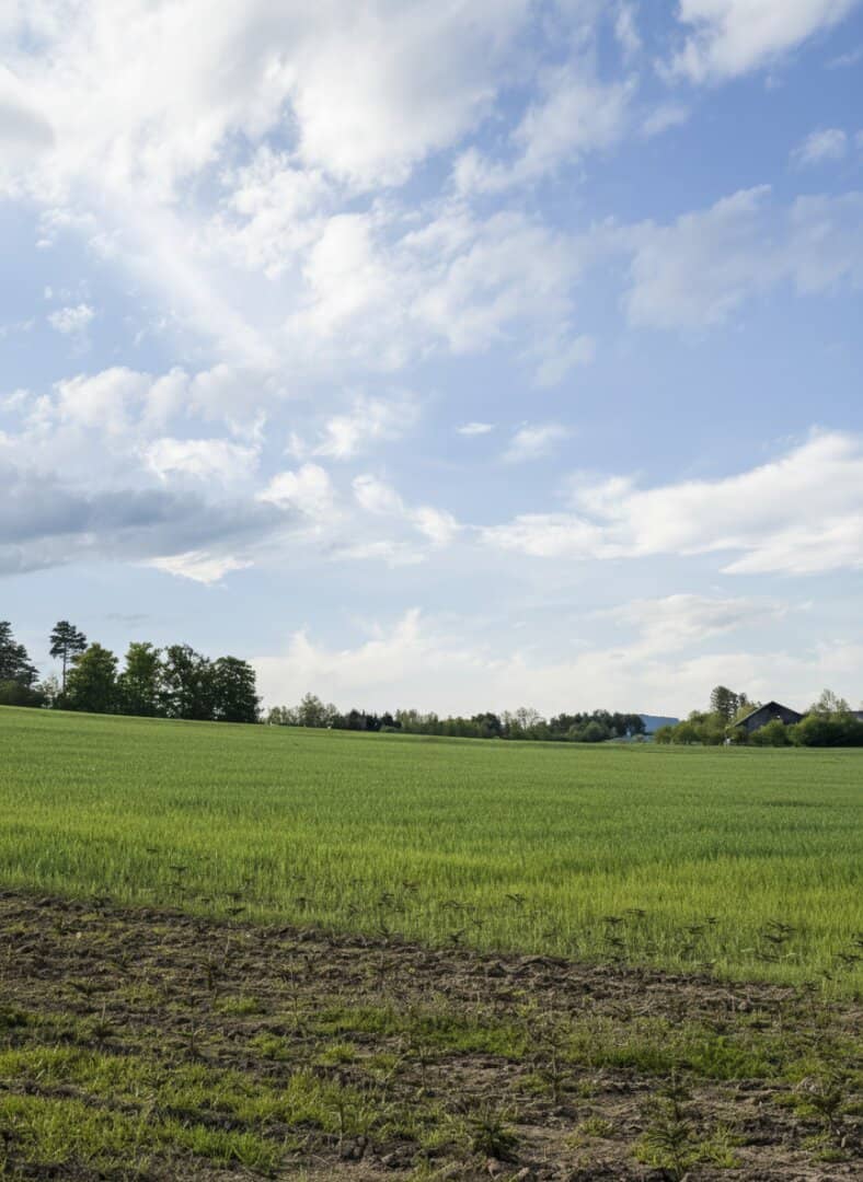 Pferdehof mit 21 ha in Oberwart