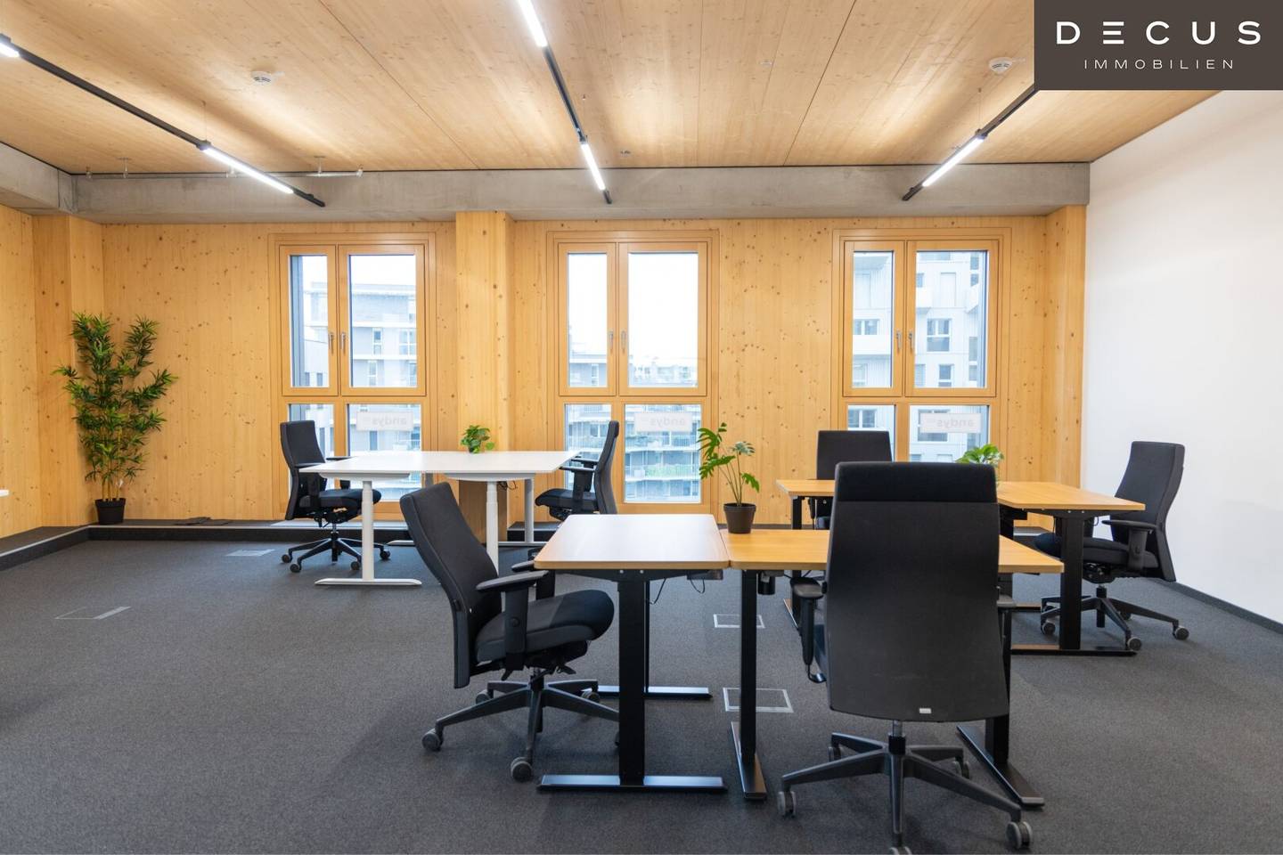 Office spaces and co-working in HOHO Seestadt business center