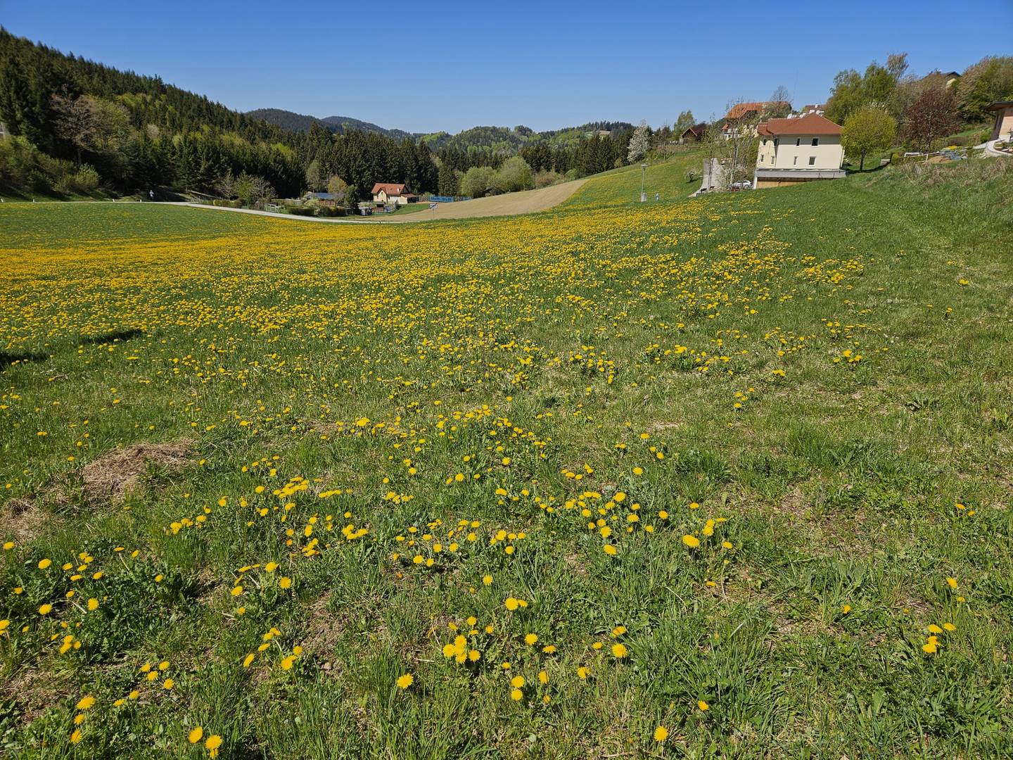 Baugrund 1146 m² St. Georgen