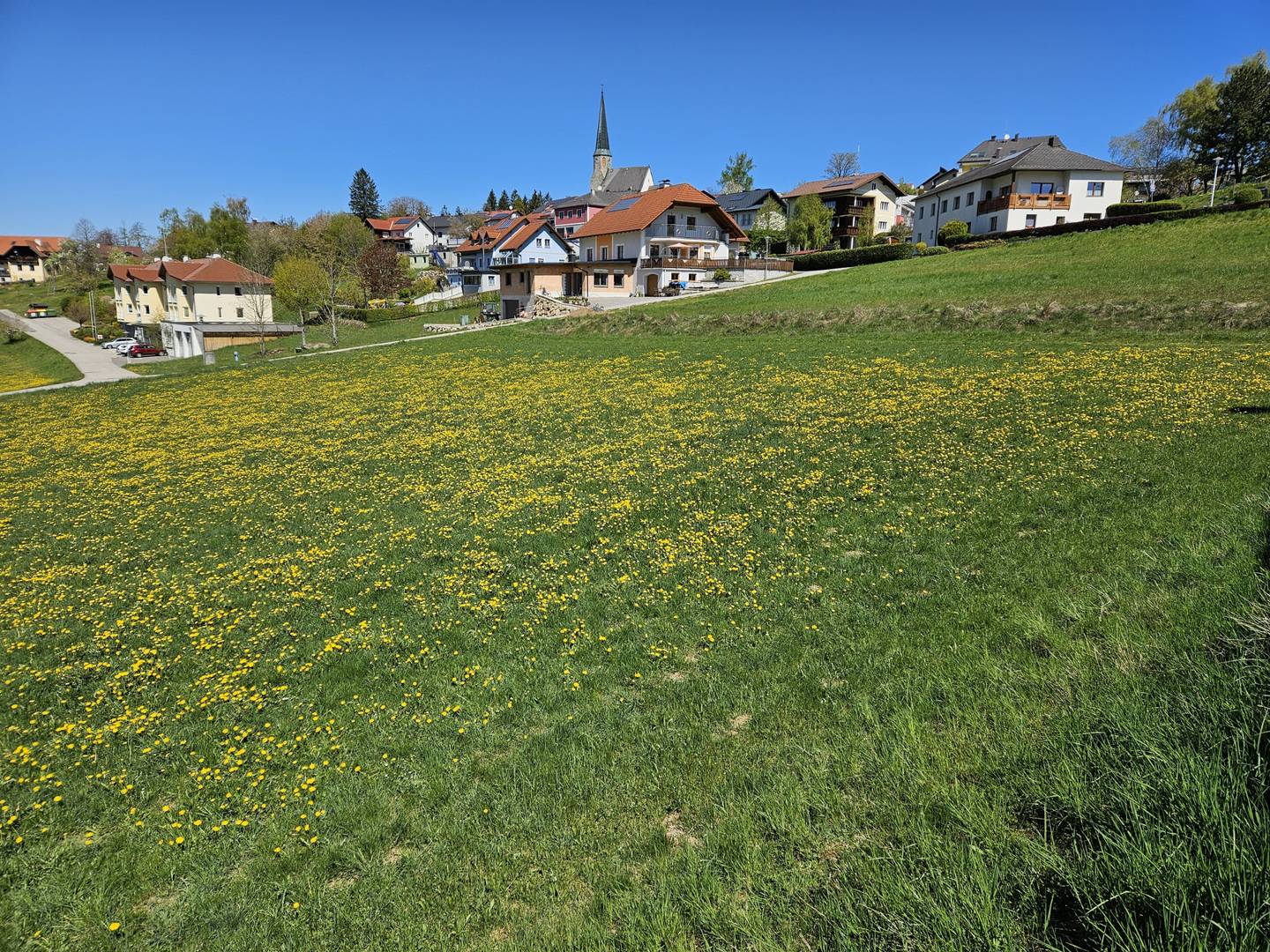 Baugrund 1146 m² St. Georgen