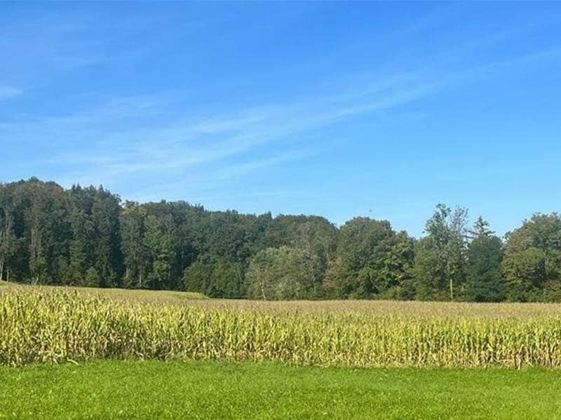 Landwirtschaftlicher Nutzgrund bei Steyr
