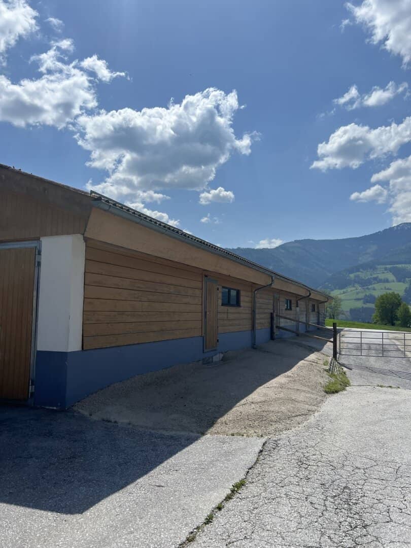 Wohnhaus & Hallen mit Entwicklungspotenzial