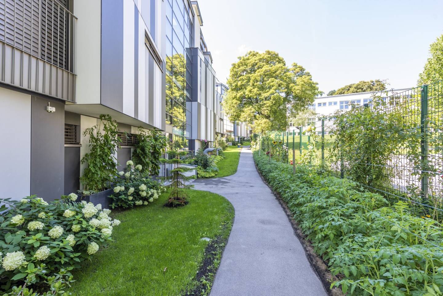 Wohnung am Kaasgraben mit Garten und Terrasse