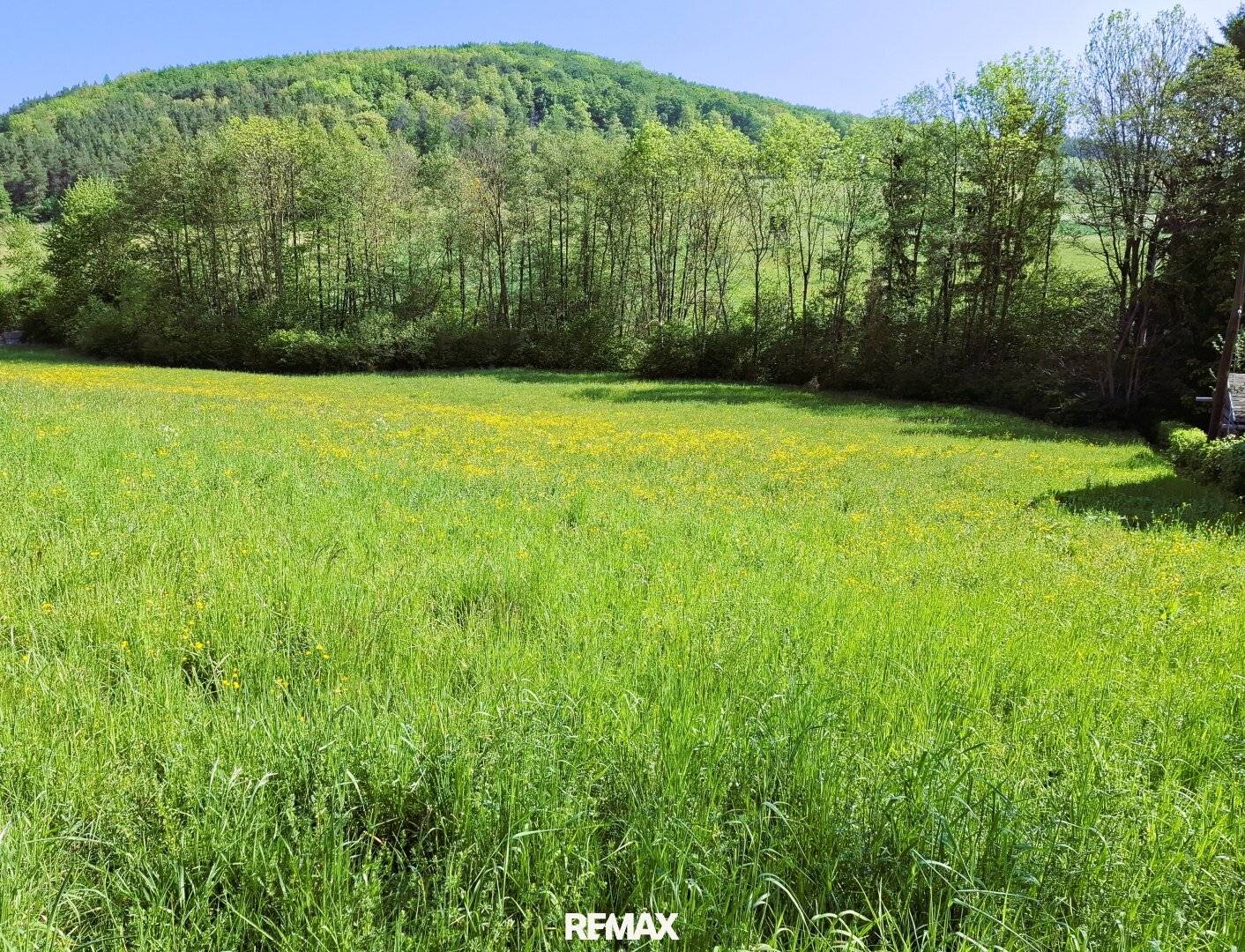 Building Plot 8,380 m² in Wienerwald
