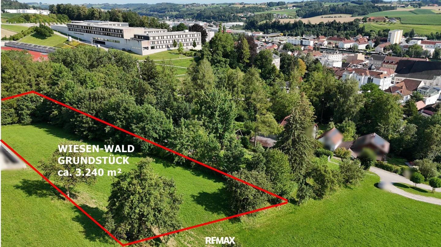 Grüne Idylle im Zentrum von Grieskirchen