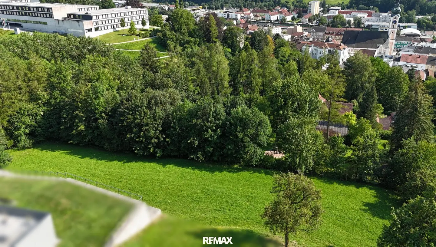 Grüne Idylle im Zentrum von Grieskirchen